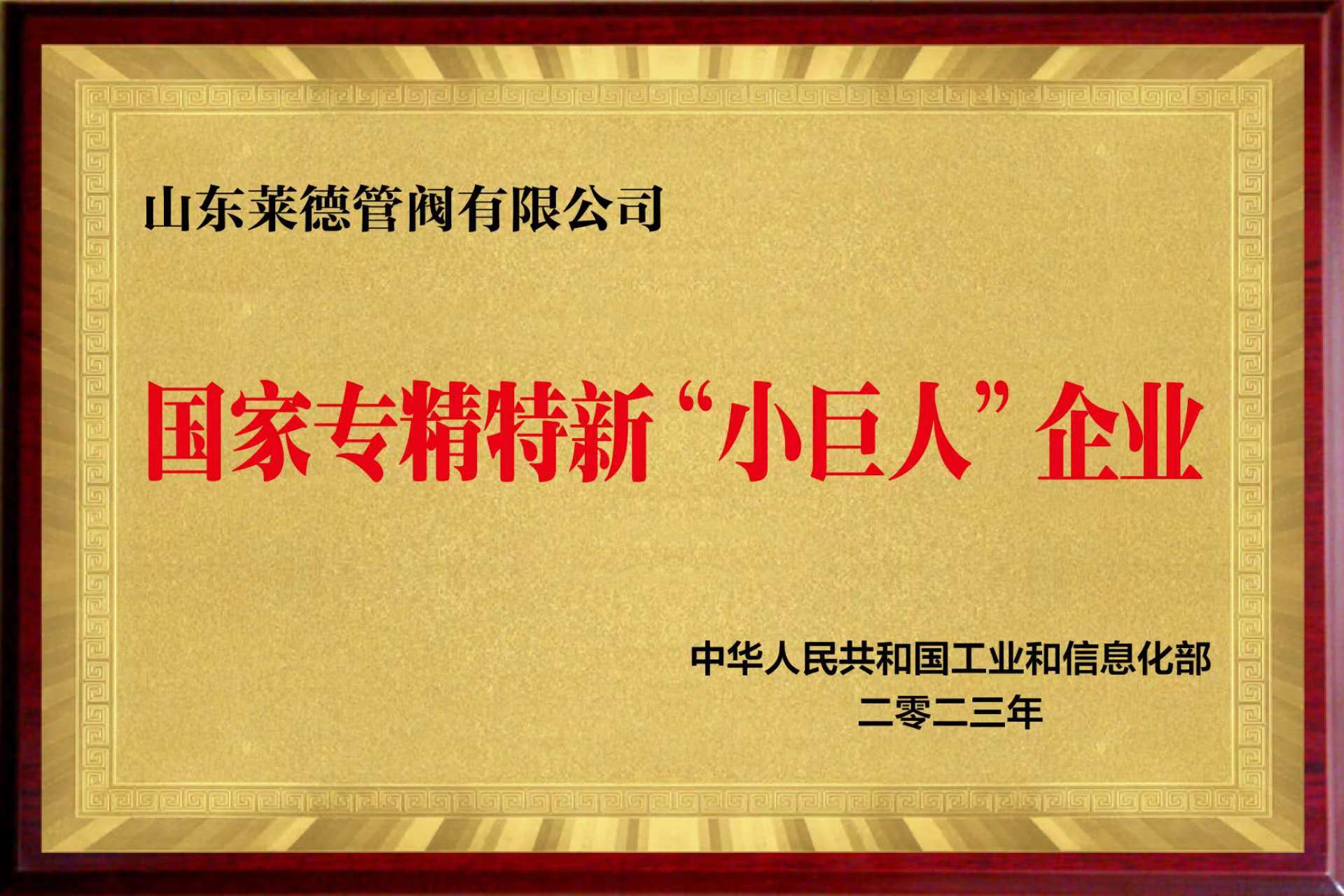 國家級專精特新“小巨人”企業